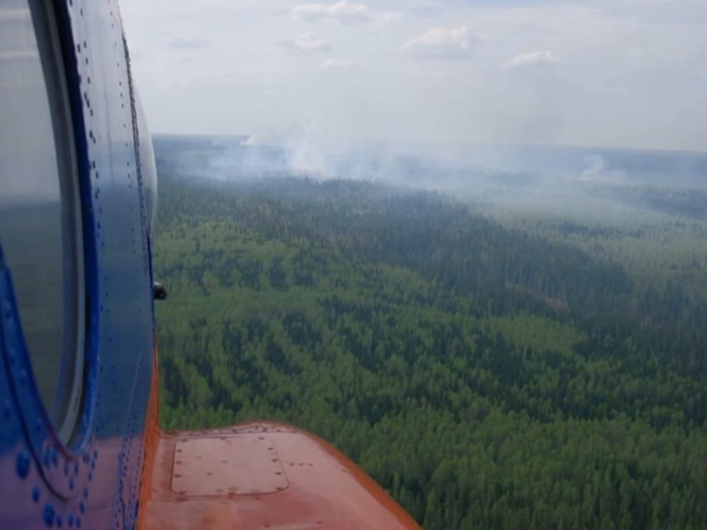 Иас лесные пожары в республике коми карта